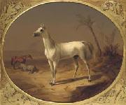 Theodor Horschelt A Grey Arabian Horse oil painting artist